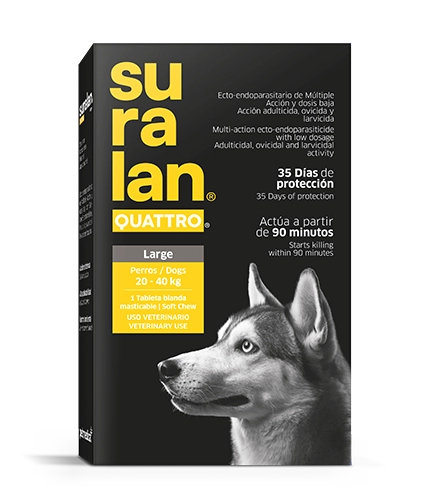 Suralan Quattro Large