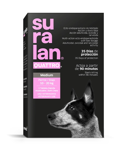 Suralan Quattro Medium