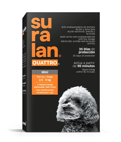 Suralan Quattro Mini
