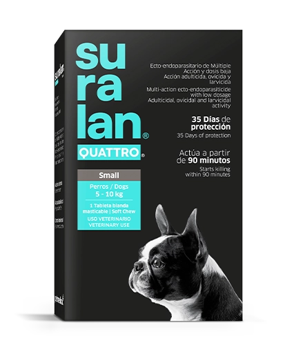 Suralan Quattro Small