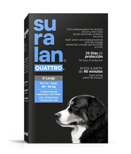 Suralan Quattro X-Large
