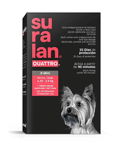 Suralan Quattro X-Mini